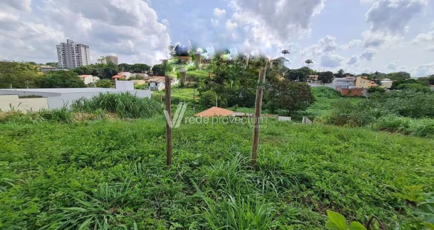 Terreno à venda na Rua Doutor Júlio João Arthaud Berthet, s/n°, Jardim das Paineiras, Campinas