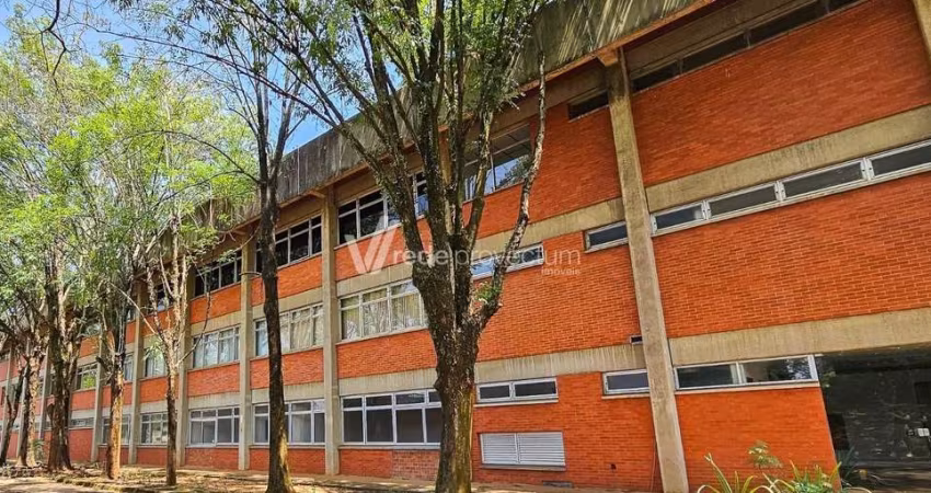 Terreno comercial à venda na Avenida Professor Benedicto Montenegro, 419, Betel, Paulínia