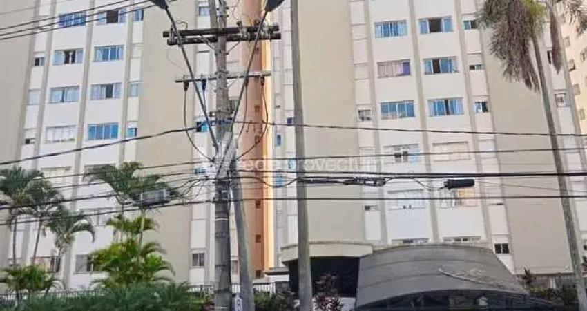 Apartamento com 3 quartos para alugar no Jardim Proença, Campinas 