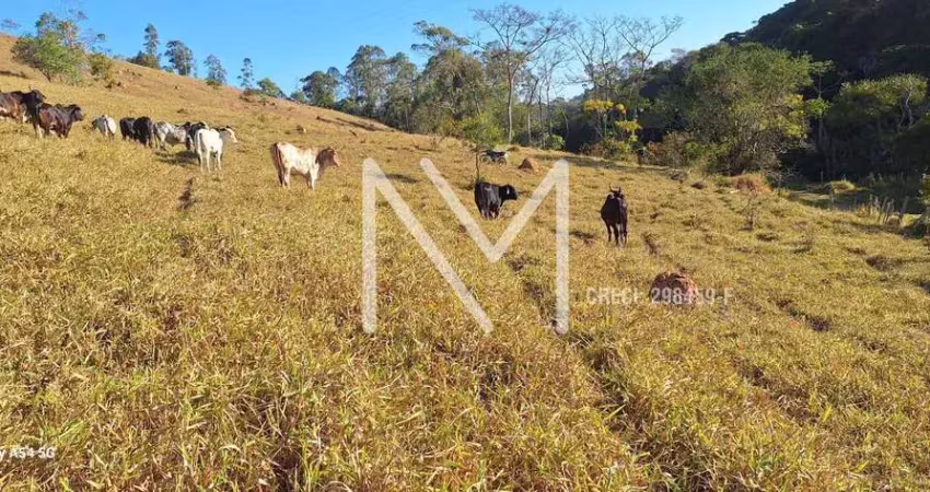 Área rural à venda 4,5 alqueires - 111.787m² - jambeiro - sp