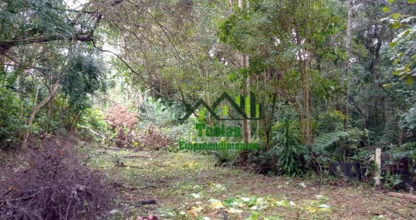 Terreno à venda, 1170 m² por R$ 500.000,00 - Cidade Edson - Suzano/SP