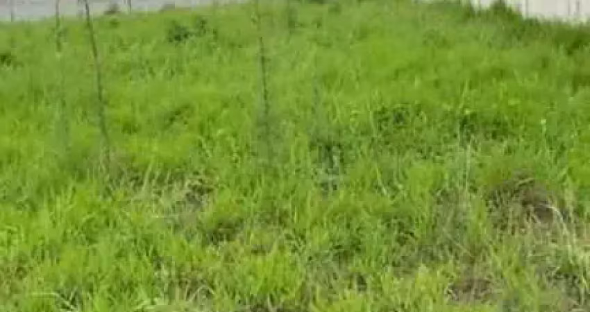 Terreno à venda, 9867 m² por r$ 16.000.000 - colônia - são paulo/sp