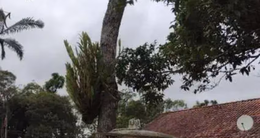 Chácara com 3 dormitórios à venda, 1000 m² por r$ 565.000 - chácaras casemiro - suzano/sp
