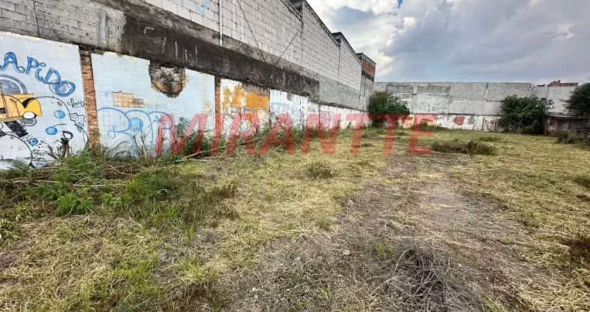 Terreno com 1.575m2 20 de testada a 300m da avenida engenheiro caetano alvares