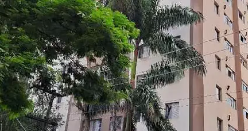 Apartamento com 3 quartos para alugar na Avenida Damasceno Vieira, 01, Vila Mascote, São Paulo