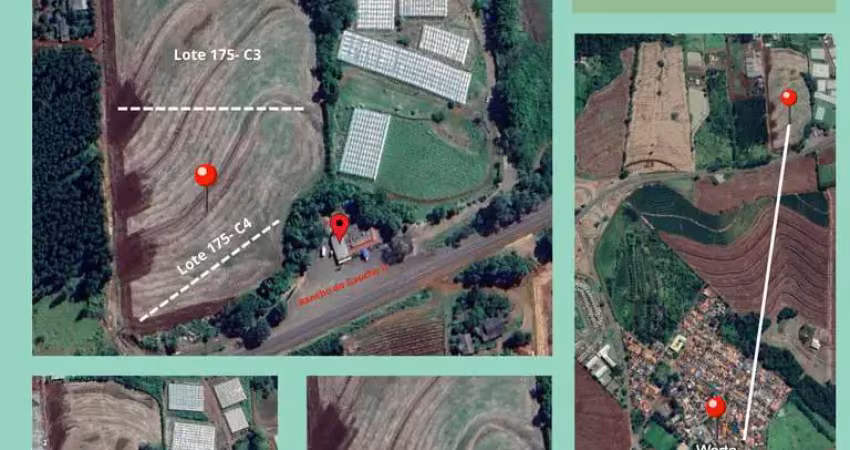 Chácara / sítio à venda na PR 323 km32, Warta, Londrina