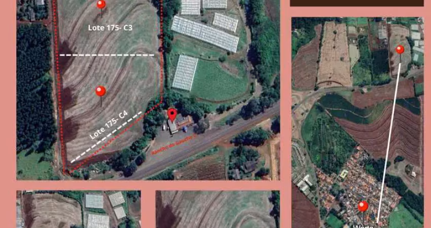 Chácara / sítio à venda na PR 323, Km 32 Saída para Sertanópolis, Warta, Londrina