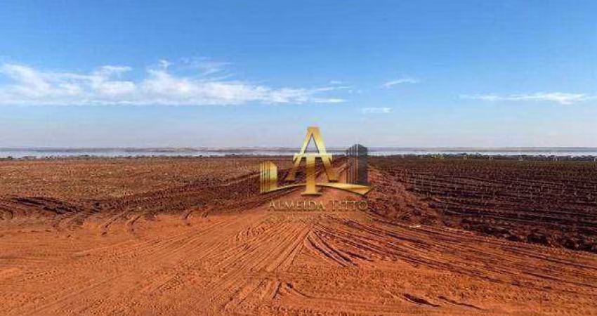 Fazenda para Venda na Região de Ribeirão Preto - SP - Confira!!!!