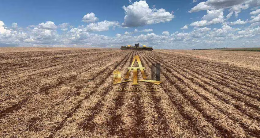 Fazenda para venda na região de maracajú - guia lopes - ms - confira!!!!
