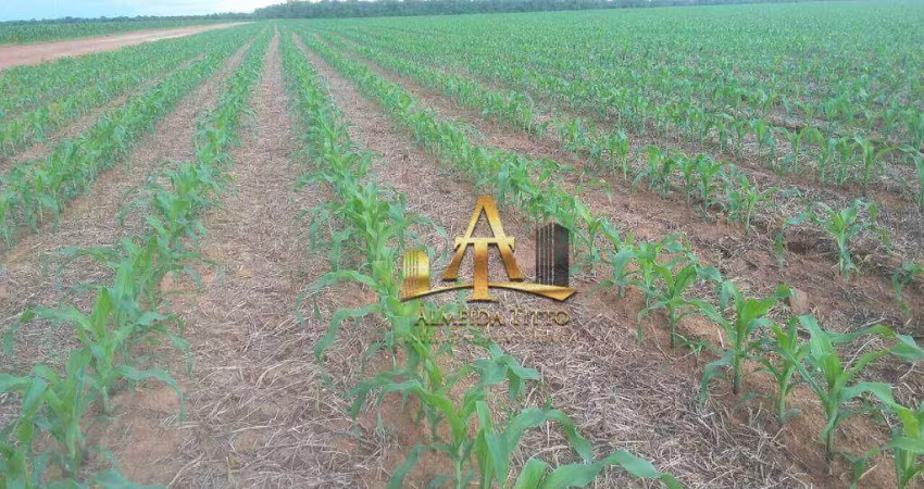 Excelente Fazenda para Venda na Região de Maracajú / Guia Lopes - MS - Confira!!!!