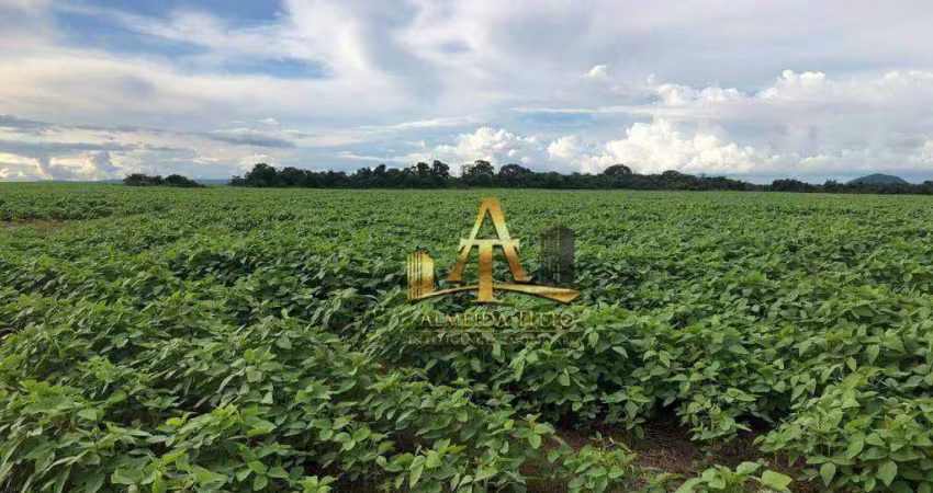 Fazenda para venda na região de maracajú / guia lopes - ms - confira!!!!