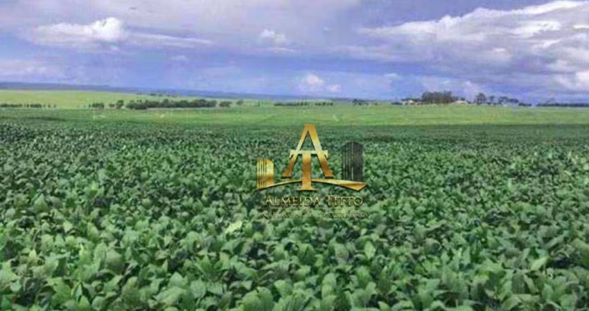 Fazenda para Venda na Região de Chapadão do Céu - GO - OPORTUNIDADE !!!!.