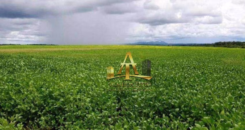 Fazenda à Venda na Região de Carolina/MA