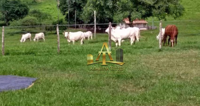 Fazenda à Venda para Cria e Recria - Pedra Preta - MT