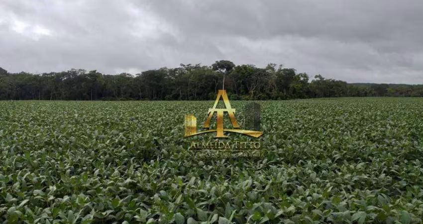 Fazenda com 1 sala à venda na Estrada Estadual MT 338, 7817, Zona Rural, Paranatinga