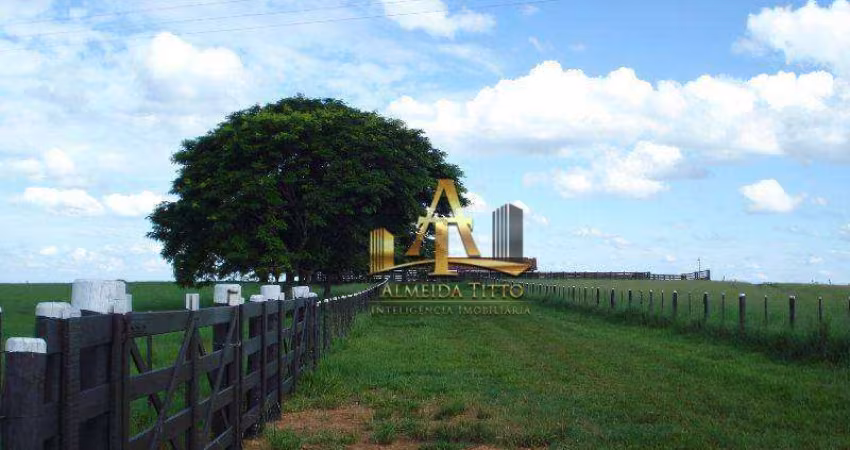 Fazenda à Venda na Região de Marilia - São Paulo