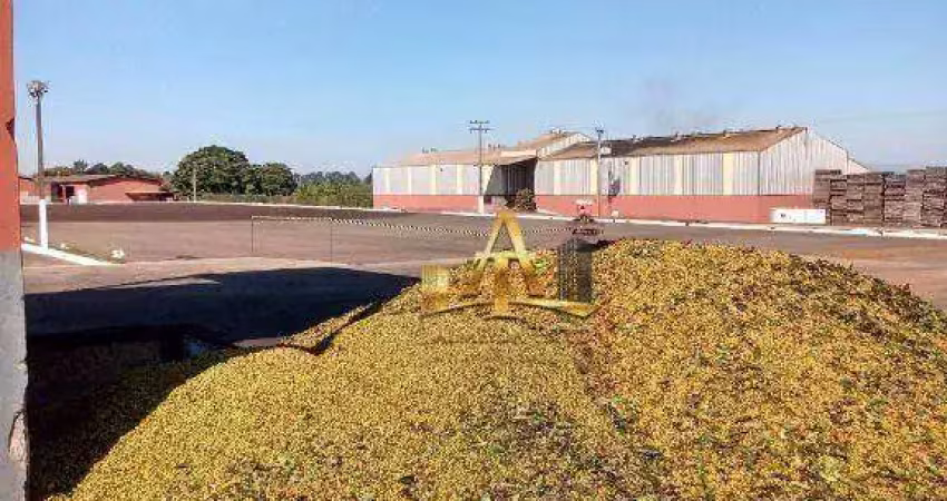 Fazenda à venda na Estrada Área Rural, 1333, Zona Rural, Piumhi