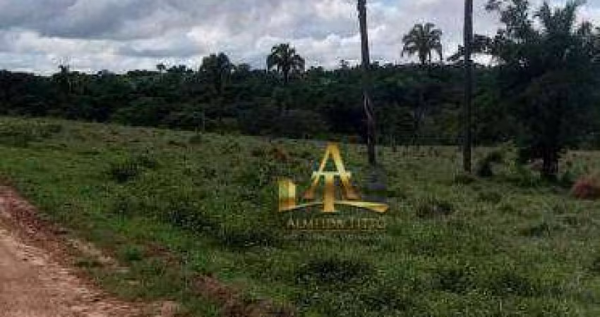 Fazenda à Venda - Zona Rural - Paraiso Das Águas/MS