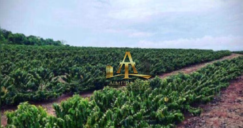 Fazenda à Venda - Zona Rural - Ibiá/MG