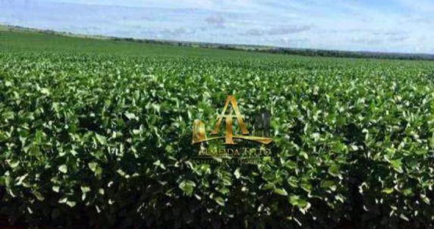 Fazenda à venda na região de Confresa - MT.