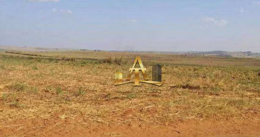 Fazenda  à venda  na região de Presidente Prudente/SP