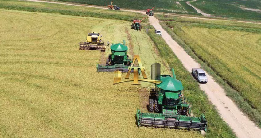 Fazenda à venda de Soja/Arroz/Pecuária - São Gabriel/RS