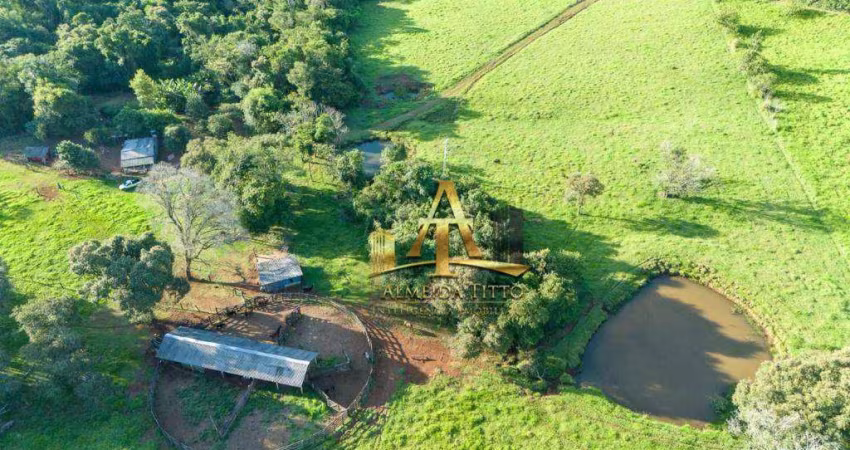 Fazenda à Venda - Zona Rural - Palmital/PR
