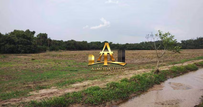Sítio à Venda - Zona Rural - Região de Itapetininga/SP