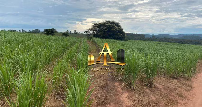 Fazenda com 1 sala à venda na Rua do Comércio, 212, Zona Rural, Ribeirão Bonito