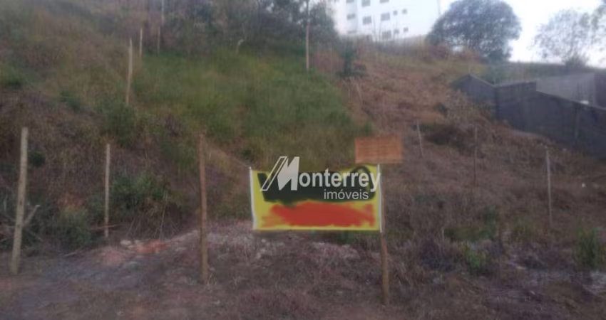 Terreno à venda, 338 m² por R$ 235.000,00 - Lourdes - Juiz de Fora/MG