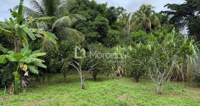 Chácara / sítio com 3 quartos à venda no Ernesto Machado, São Fidélis 