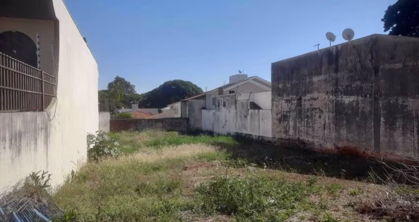 Terreno Zona 2