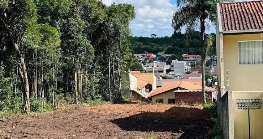 Terreno Jd Nezita prox. Jardim Paulista