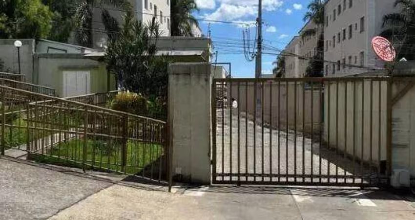 Sapucaia | Contagem