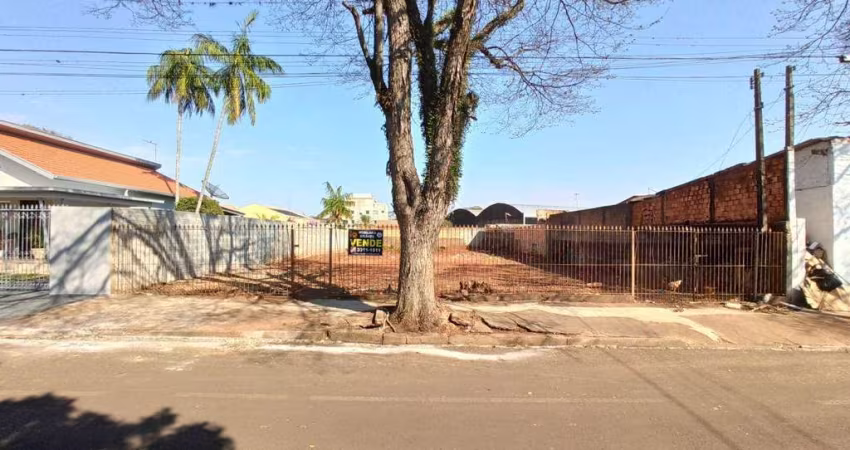 LOTE ROLANDIA
