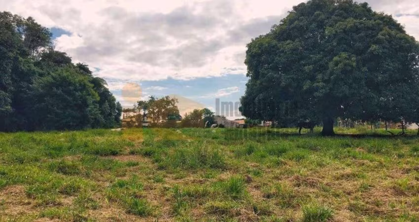 Terreno à venda, 6050 m² por R$ 2.630.000,00 - Jardim Santa Terezinha - Rolândia/PR