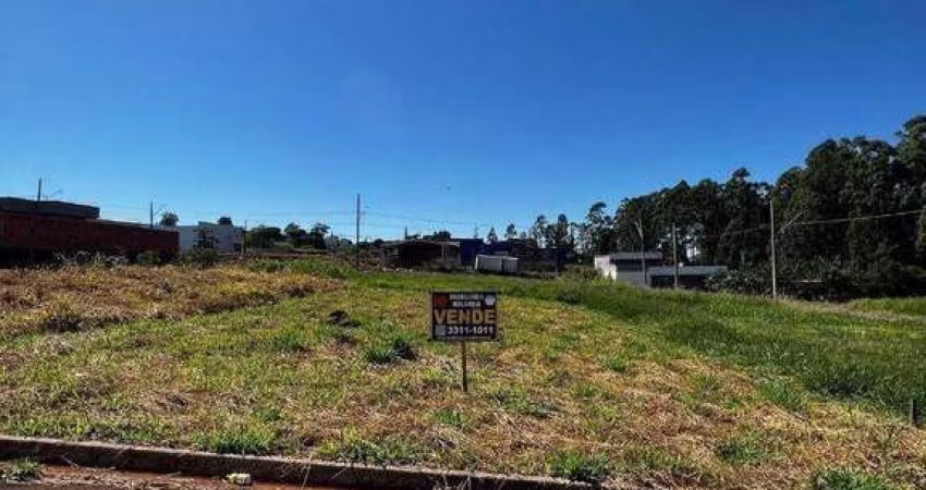 Terreno à venda, 300 m² por R$ 120.000,00 - Residencial Terra Nova - Rolândia/PR