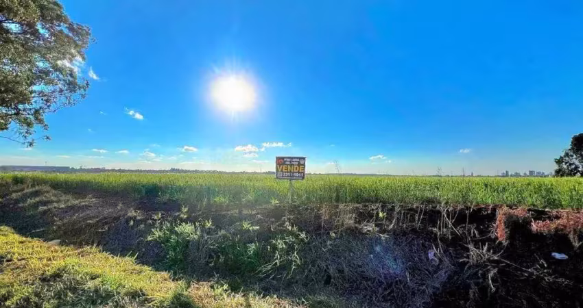 Área à venda, 136445 m² por r$ 6.000.000,00 - gleba patrimonio  - rolândia/pr