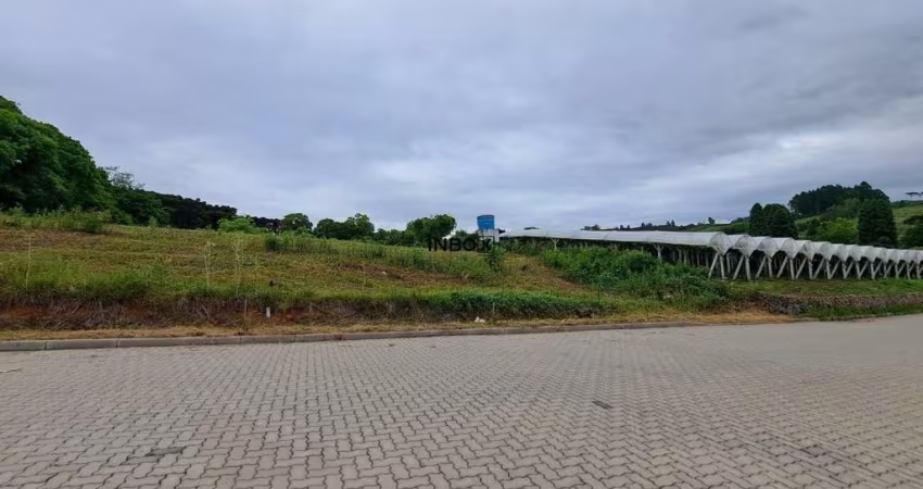 Inbox Cia Imobiliária vende Terreno de 1500m² na Garibaldina em Garibaldi