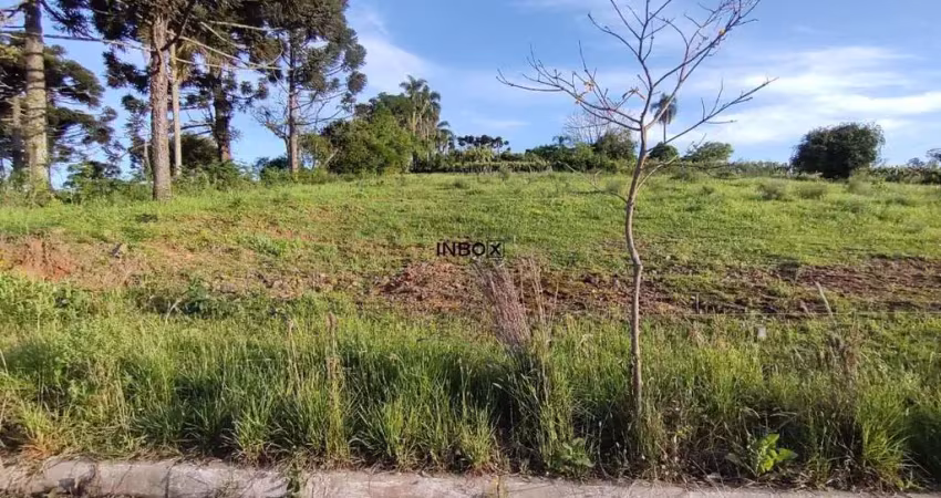 Terreno à venda na José de Carli, 131, São Valentin, Bento Gonçalves