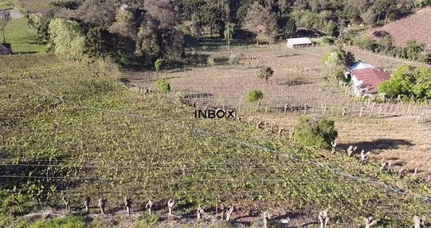 INBOX CIA IMOBILIÁRIA VENDE- Terreno NO VALE DOS VINHEDOS.