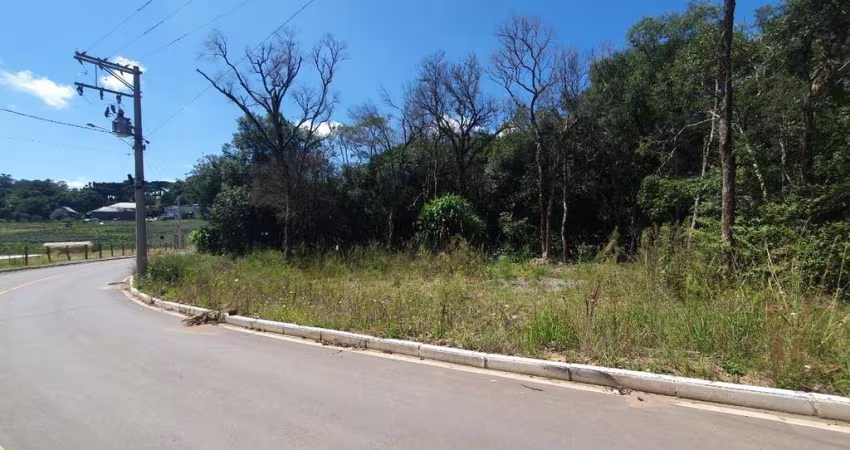 INBOX CIA IMOBILIÁRIA VENDE TERRENO COM 1000M² DE ÁREA NA GARIBALDINA EM GARIBALDI