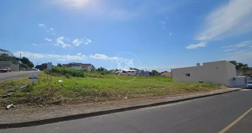 Terreno à venda na Rua das Palmeiras, Jardim das Avenidas, Araranguá