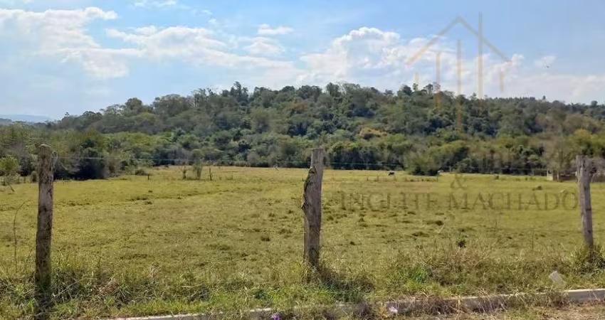 Terreno para Venda em São Pedro, Floresta Escura