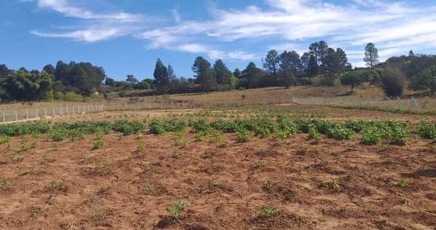 Terreno para Venda em São Pedro, Alpes das Águas