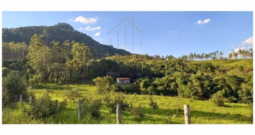 Terreno para Venda em São Pedro, Capim Fino