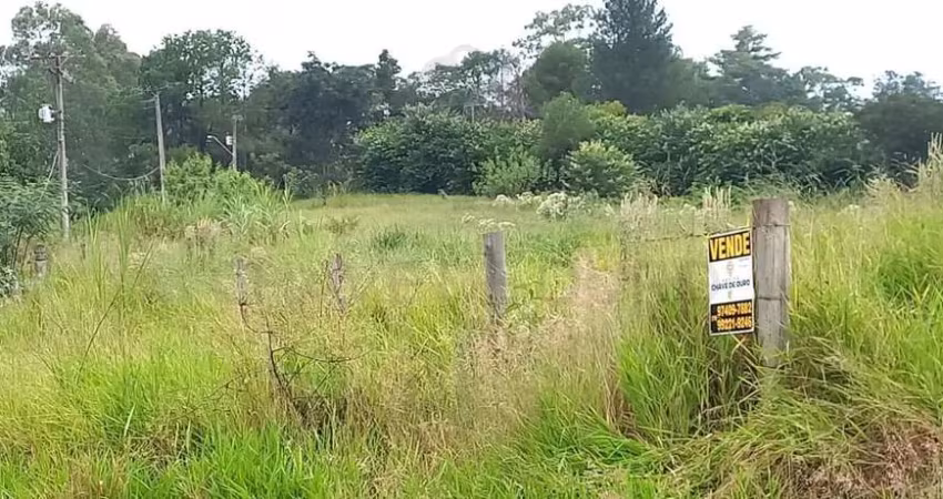Terreno para Venda em São Pedro, Floresta Escura