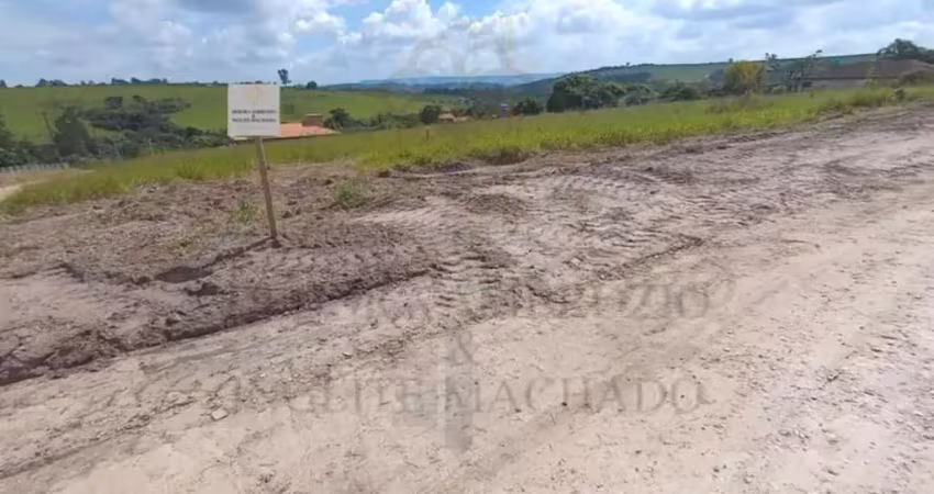Terreno para Venda em São Pedro, Primavera