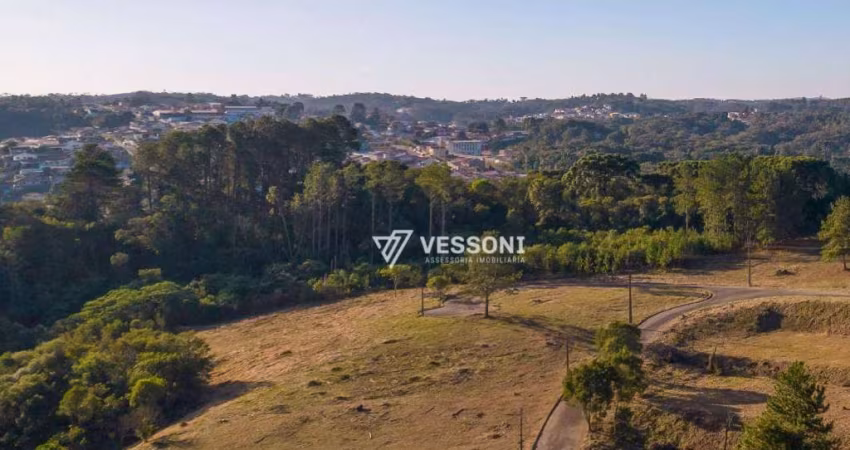 Terreno à venda, 764 m² por R$ 1.490.000,00 - Santa Felicidade - Curitiba/PR
