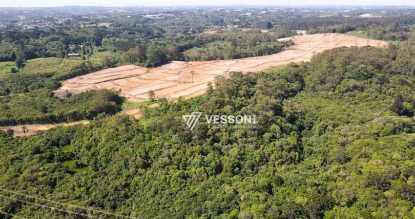 Terreno Alphaville | Últimas unidades | Campo Largo | 774 m² | R$ 785.171 ,52